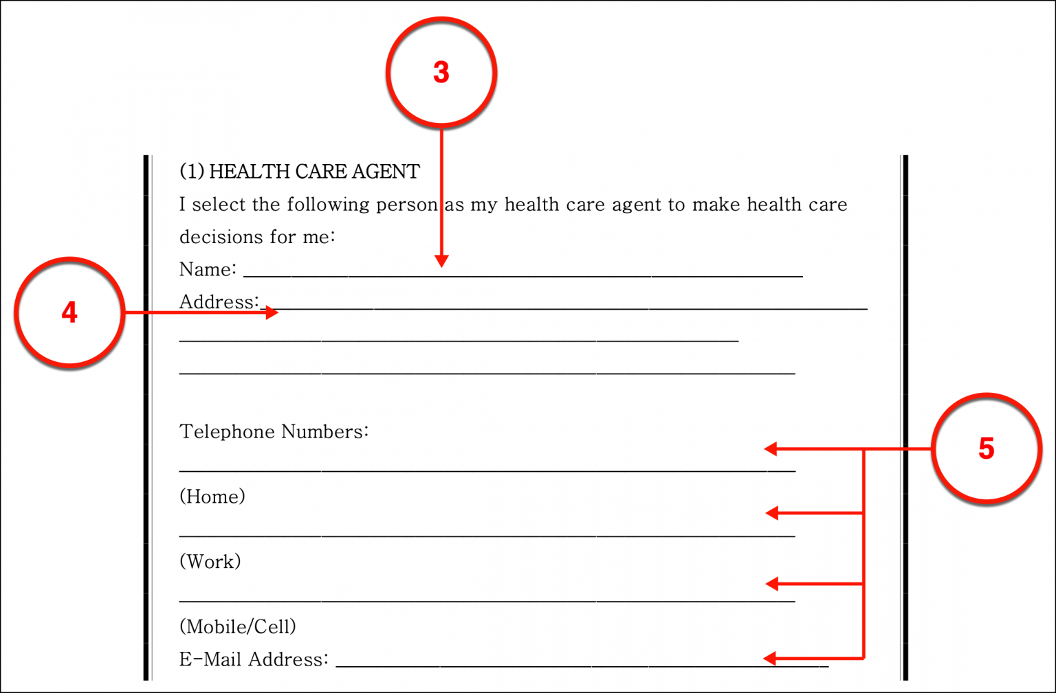 Free Advance Directive for Health Care PDF eForms