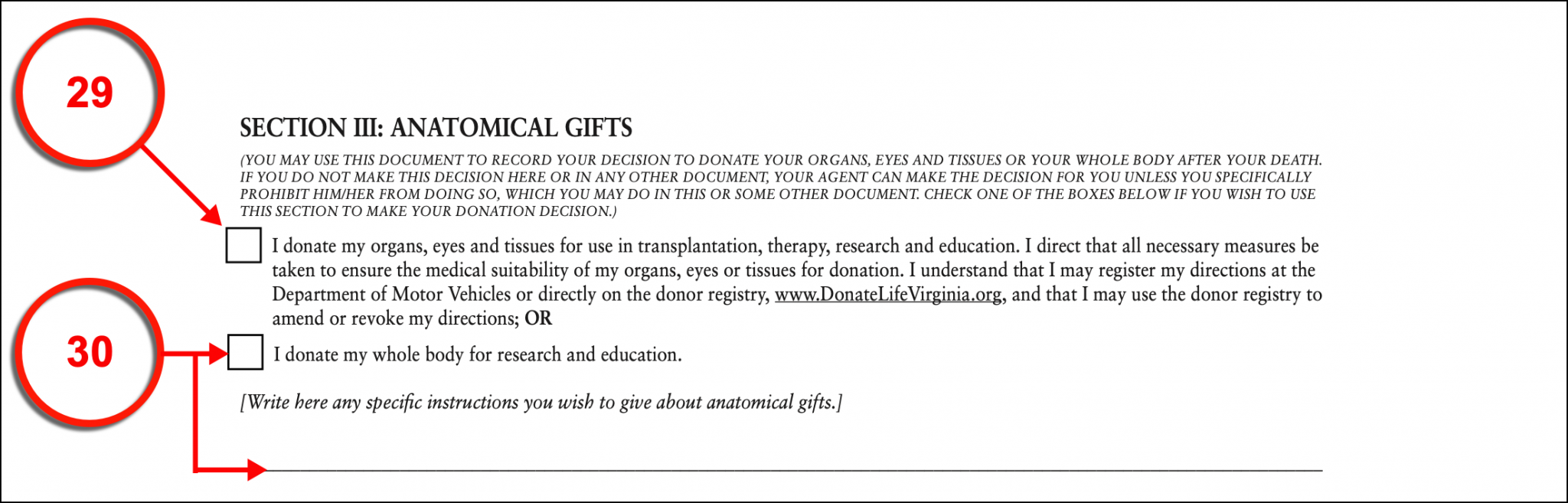 Free Virginia Advance Directive Medical POA + Living Will PDF