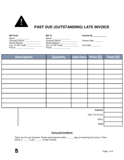 Past Due (Outstanding) Late Invoice