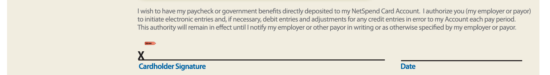 Netspend Bank Statement Pdf Credit Card Bank Account Statement 
