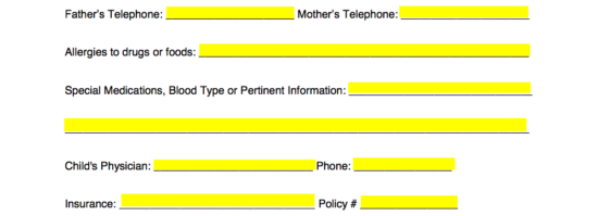 personal notarized letter of child care