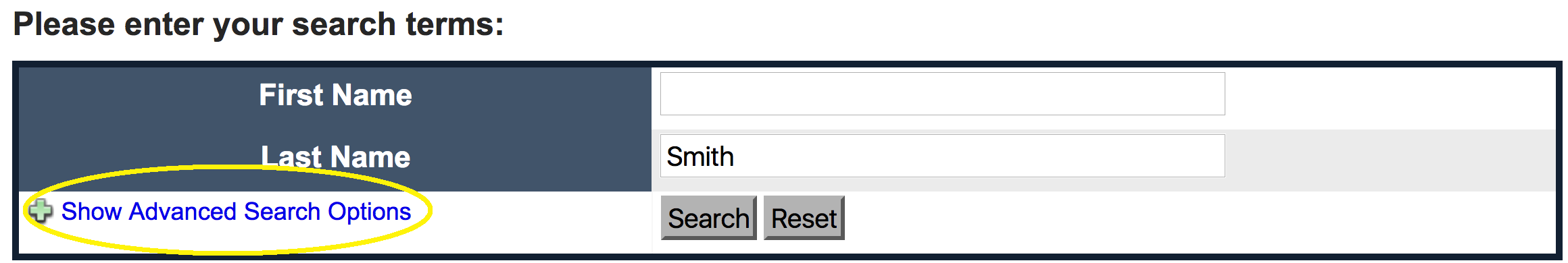 highlight around "show advanced search options" in search field