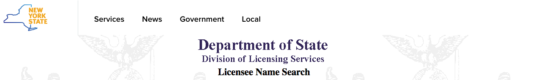 new york department of state division of licensing services website banner