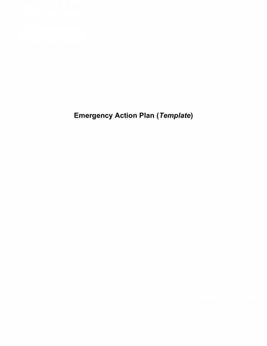 Emergency Action Plan Template