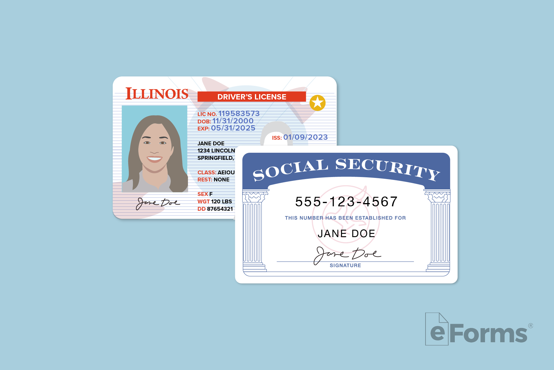 Illinois Drivers License and Social Security card.