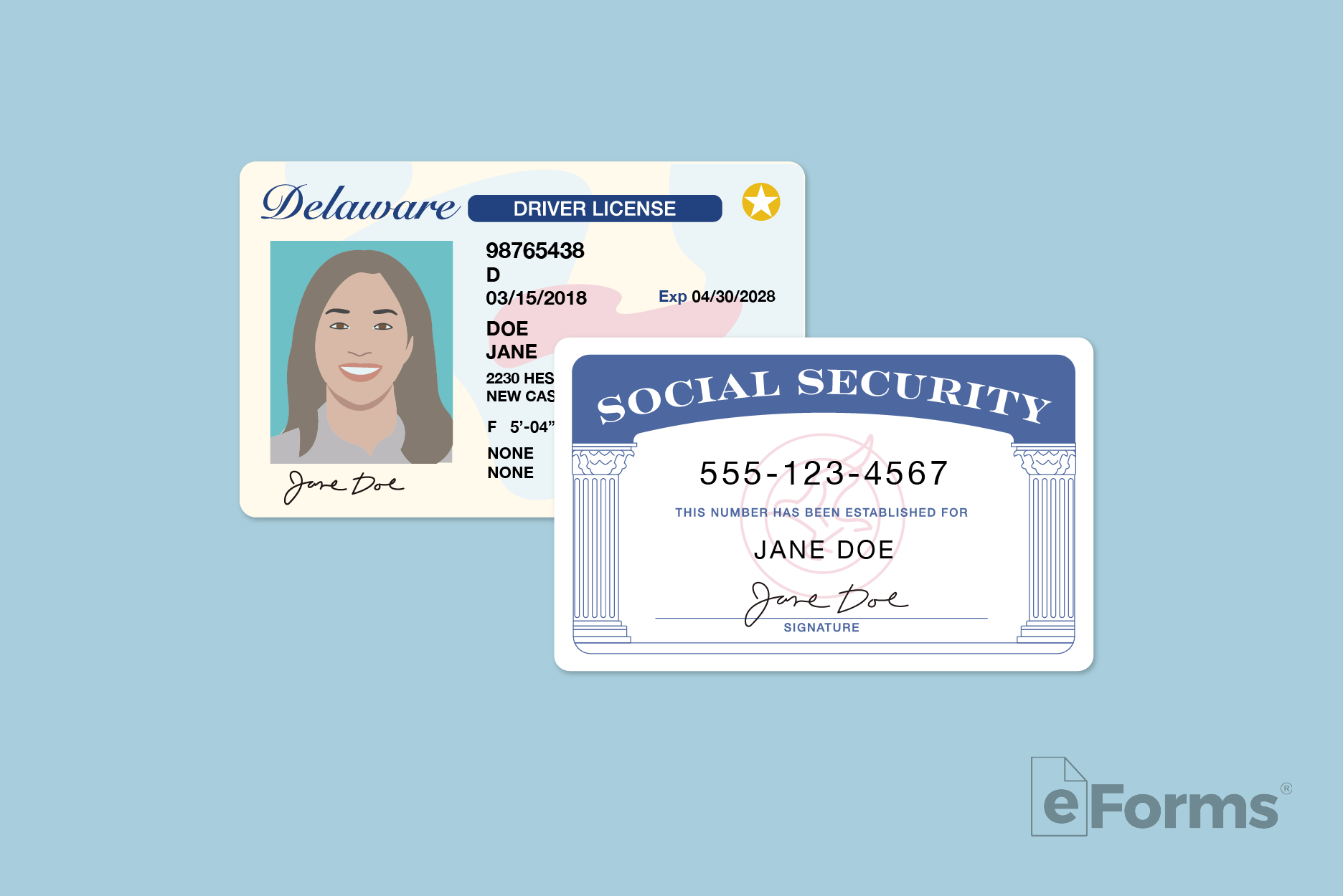 Delaware driver's license and Social Security card.