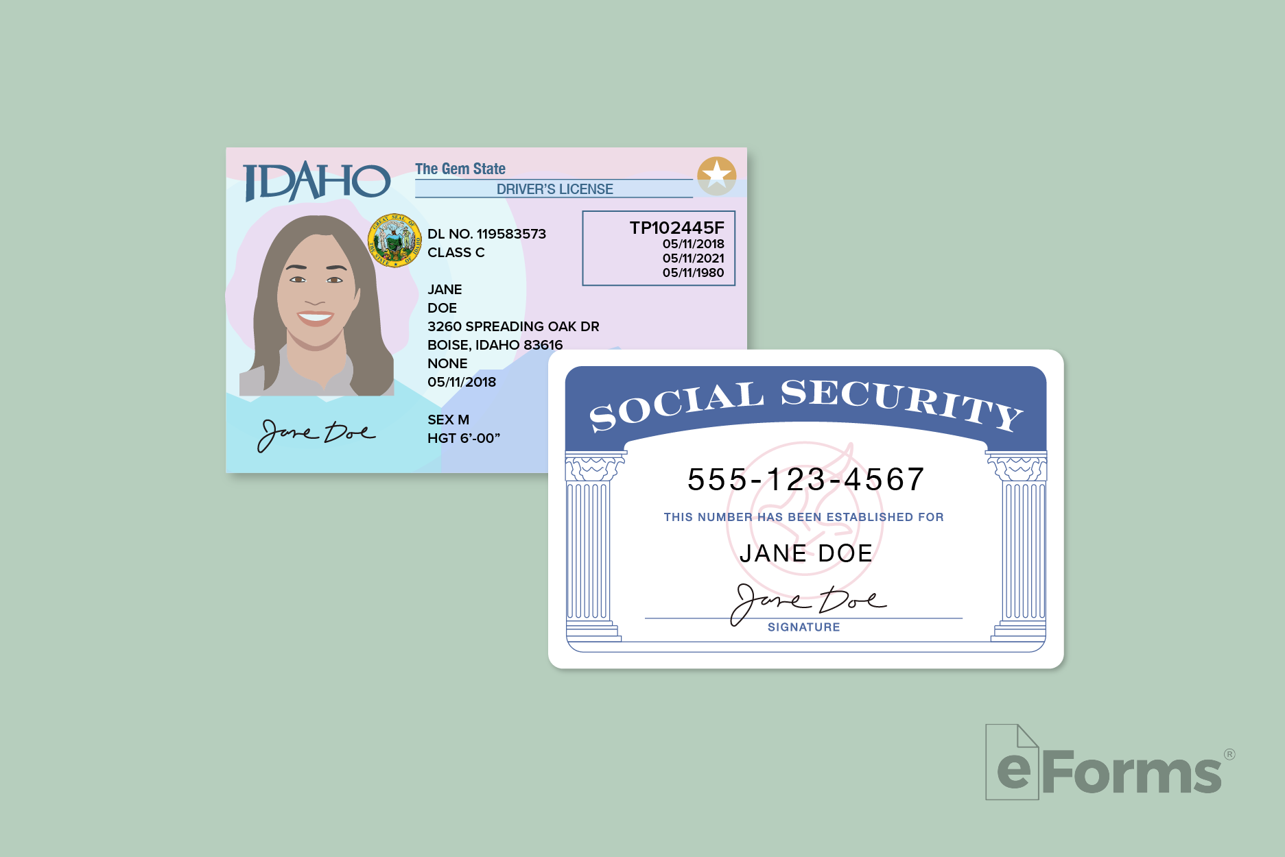 Idaho drivers license with Social Security card.