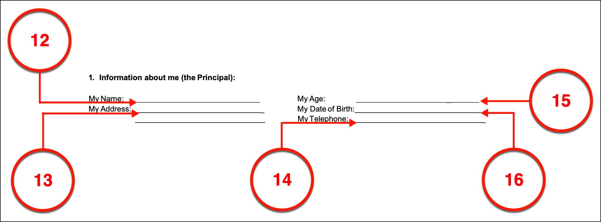 Free Arizona Advance Directive Form PDF EForms