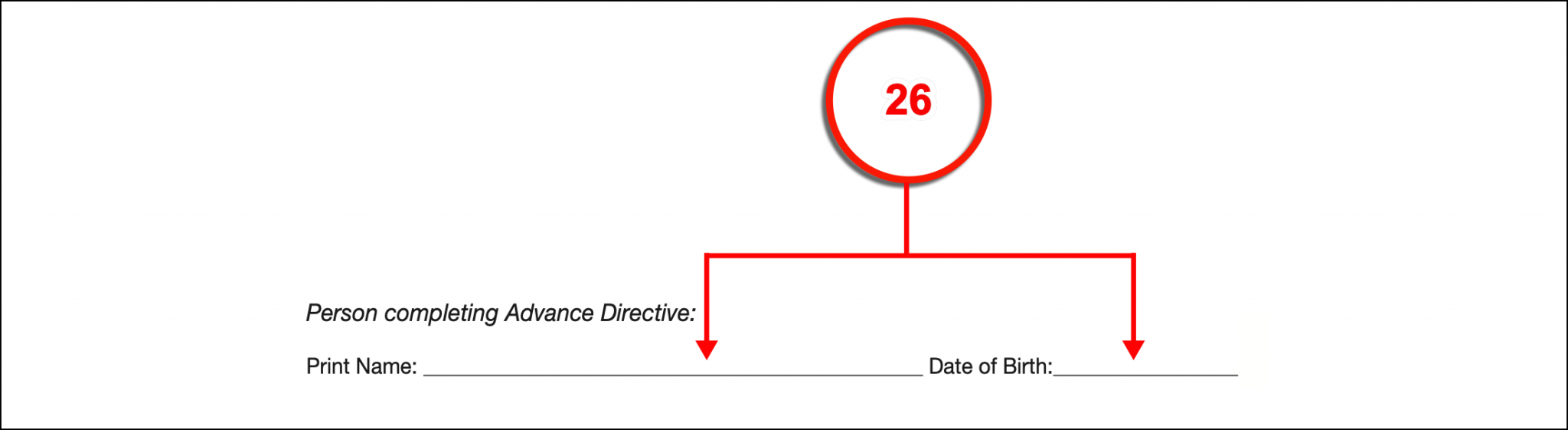 Free Michigan Advance Directive Form - PDF – eForms