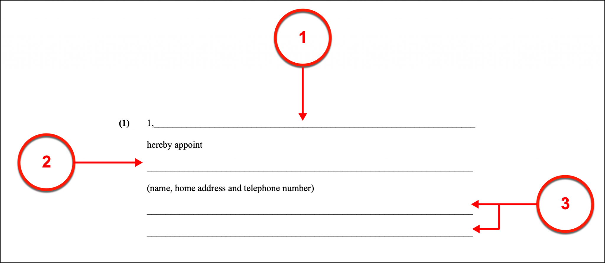 Free New York Advance Directive Form - PDF – EForms