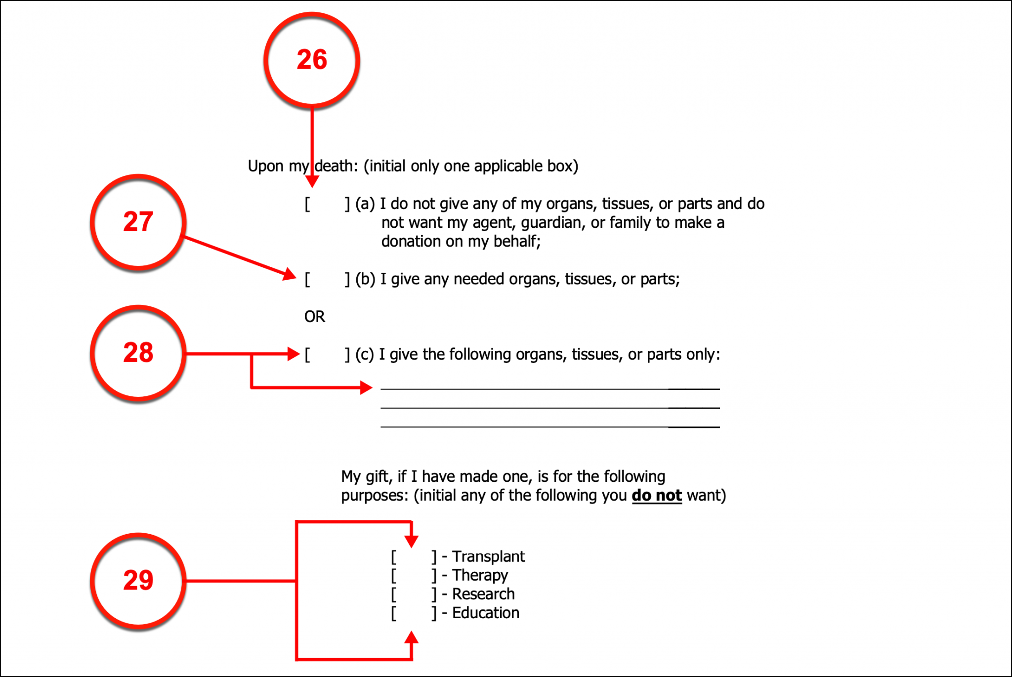 Free New York Advance Directive Form PDF eForms