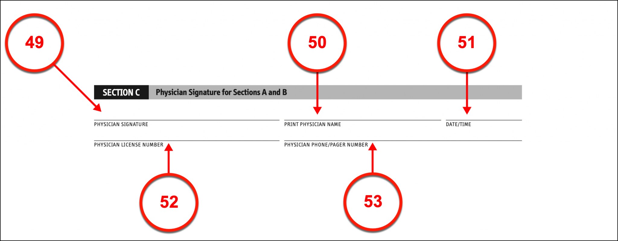 Free New York Advance Directive Form PDF eForms