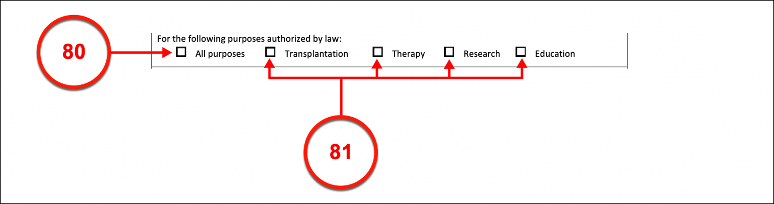 Free Ohio Advance Directive Form - PDF – eForms
