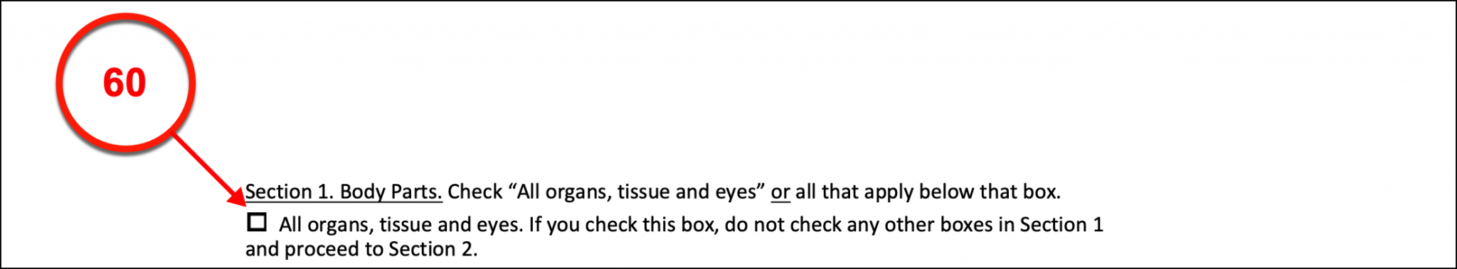 Free Ohio Advance Directive Form - PDF – eForms