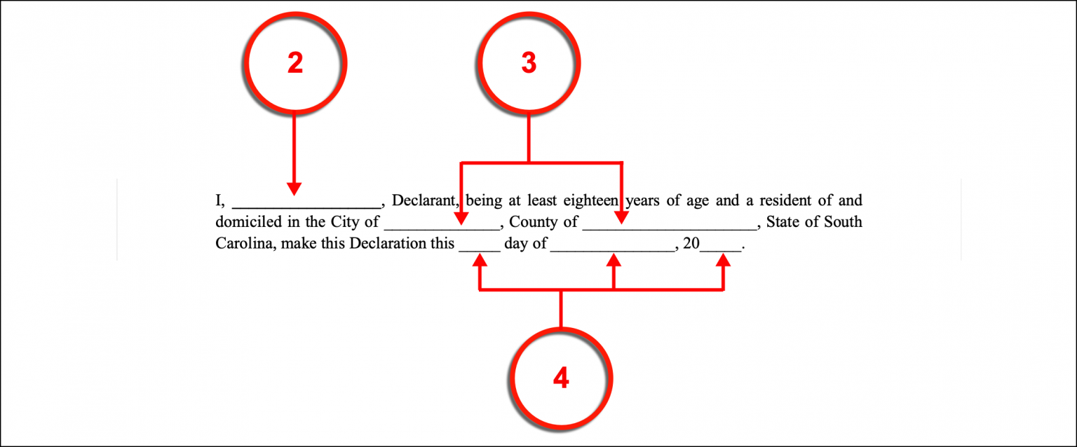 Free South Carolina Advance Directive Form PDF eForms