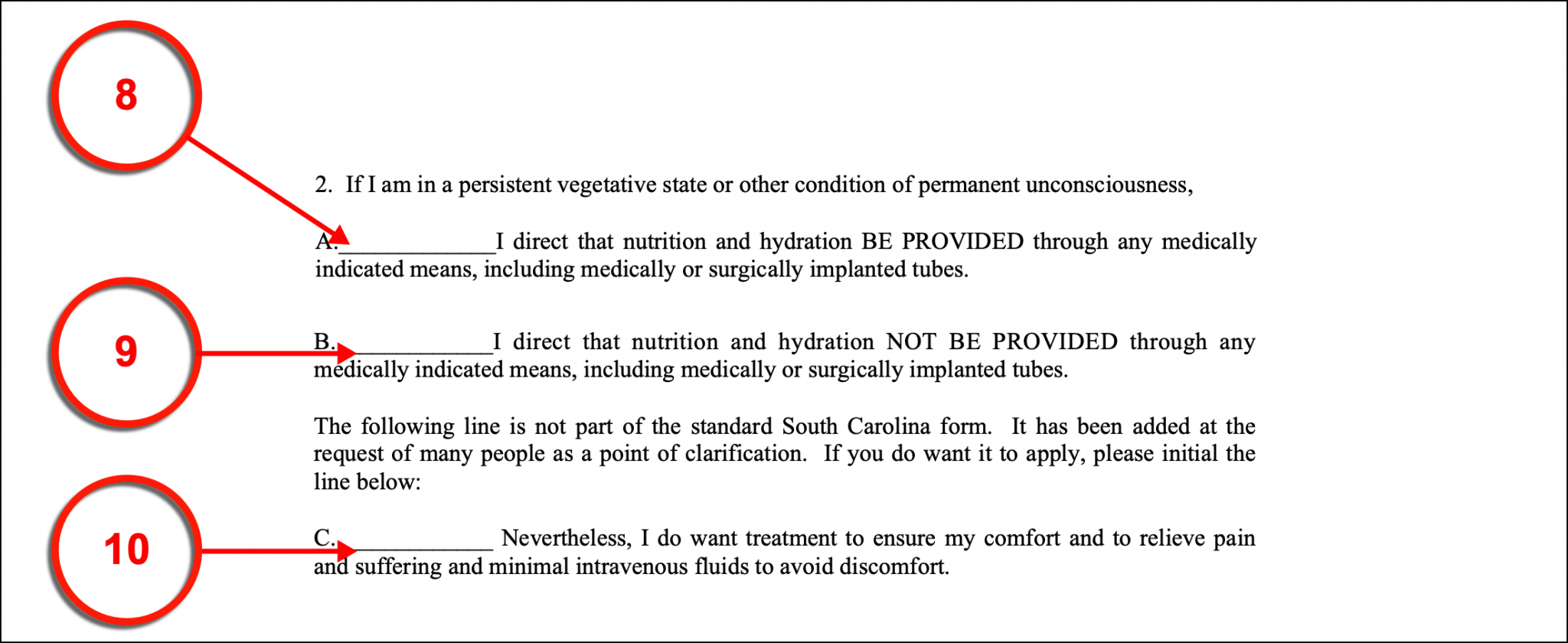 Free South Carolina Advance Directive Form PDF eForms