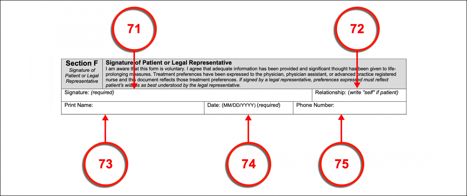 Free South Carolina Advance Directive Form PDF eForms