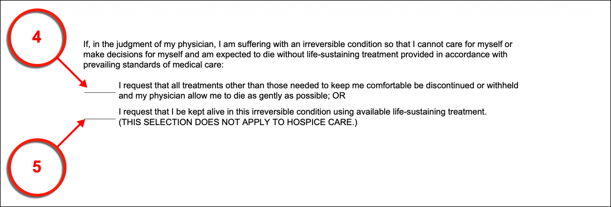 Free Texas Advance Directive Form PDF eForms