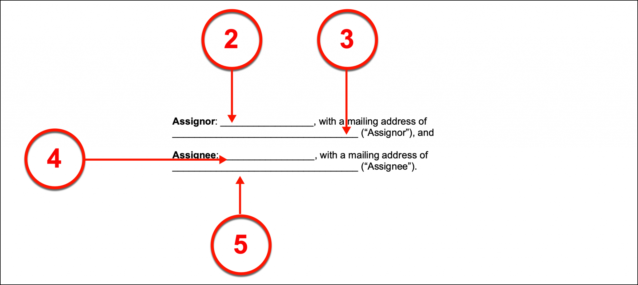 copyright assignment letter