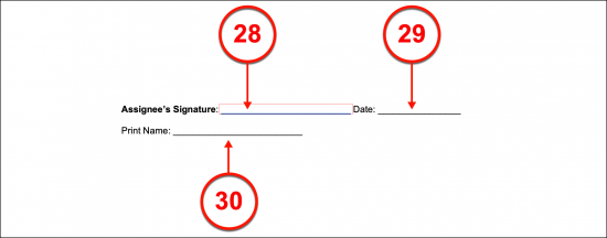 copyright assignment clause