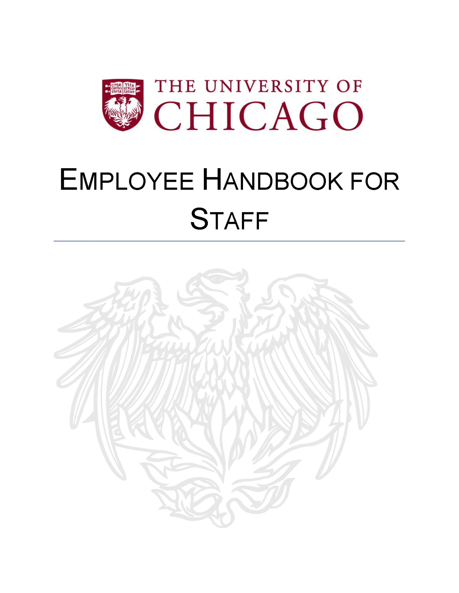 Free University Employee Handbook Template Sample PDF Word eForms