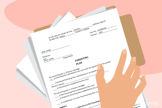 Free Florida Custody (Parenting) Plan - PDF – eForms