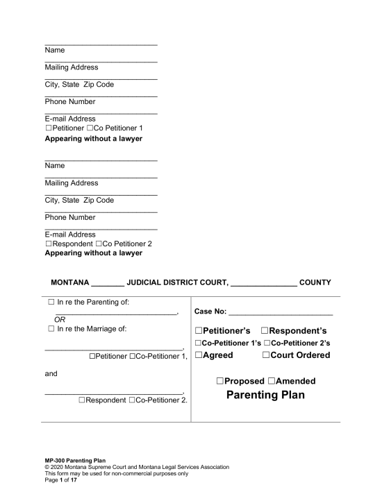 Montana Custody (Parenting) Plan