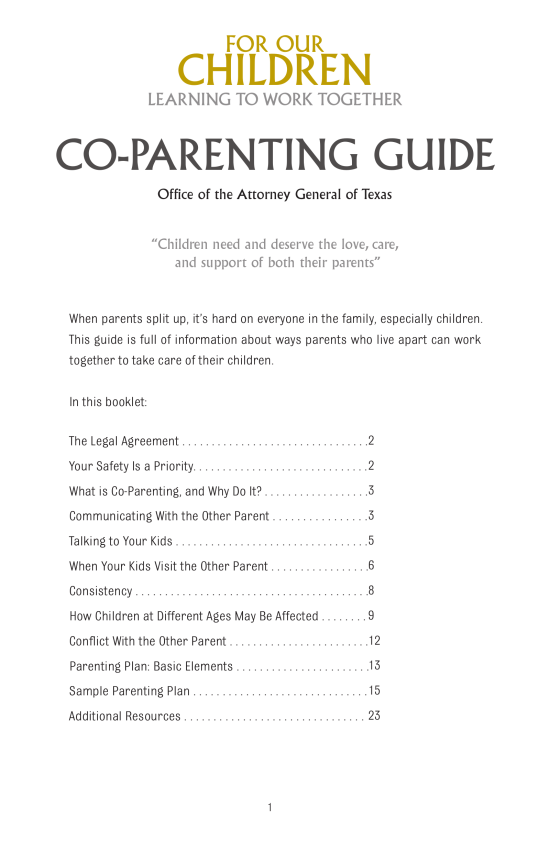 Free Texas Custody (Parenting) Plan PDF eForms