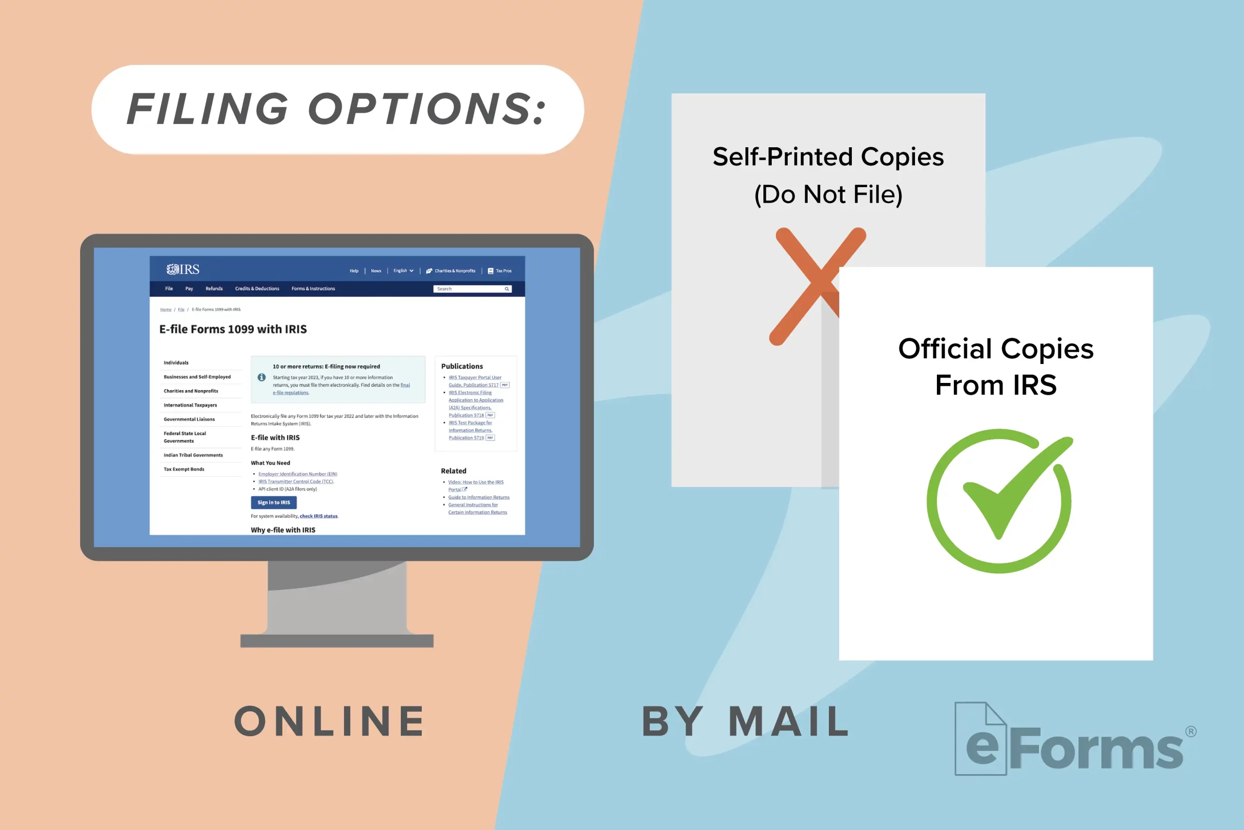 Infographic showing filing options: Online and by mail.